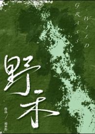 禾野免费
