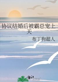协议结婚后被霸总宠上天TXT