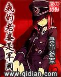 我的老婆是军阀全文