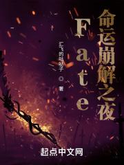 fate命运之夜rider