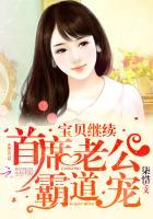 首席老公太霸道宝贝别闹免费阅读