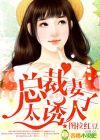 总裁妻子太迷人txt