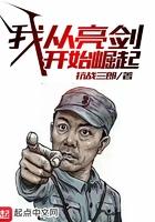 从亮剑开局崛起