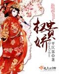 权贵娇沈度是男主嘛