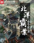 大揭秘北洋风云