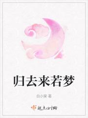 归去来引
